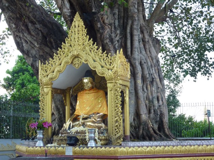 005 Bodhi Tree Shrine | 05 Bodhi Tree Shrine at Shwedagon, Y… | Flickr