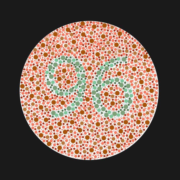 Blindness colour colorblind ishihara blind ressemble quoi sspl verywellhealth Blindness colour colorblind ishihara blind ressemble quoi sspl verywellhealth